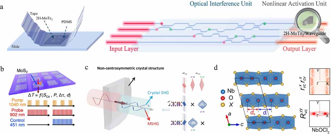Advances in two-dimensional (2D) nonlinear optical (NLO) materials ...