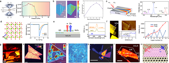 Advances in two-dimensional (2D) nonlinear optical (NLO) materials ...