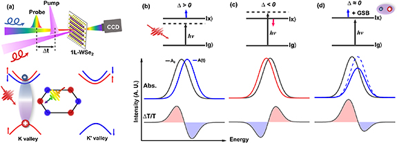 Exciton band renormalization induced by optical Stark effect and ...