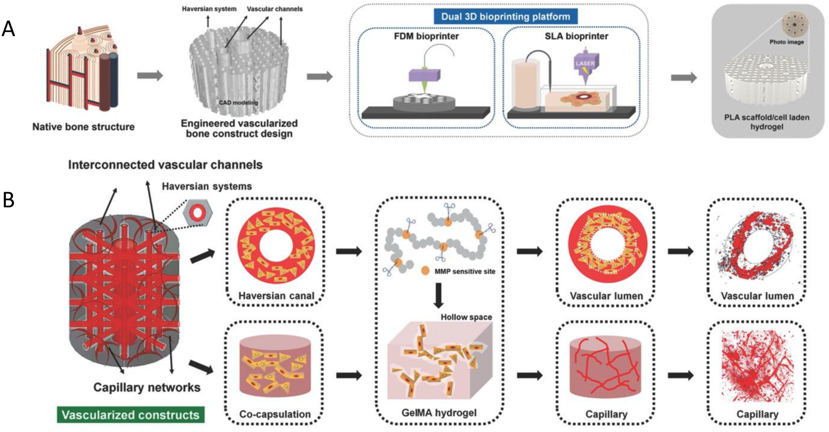 The emergence of 3D bioprinting in organ-on-chip systems