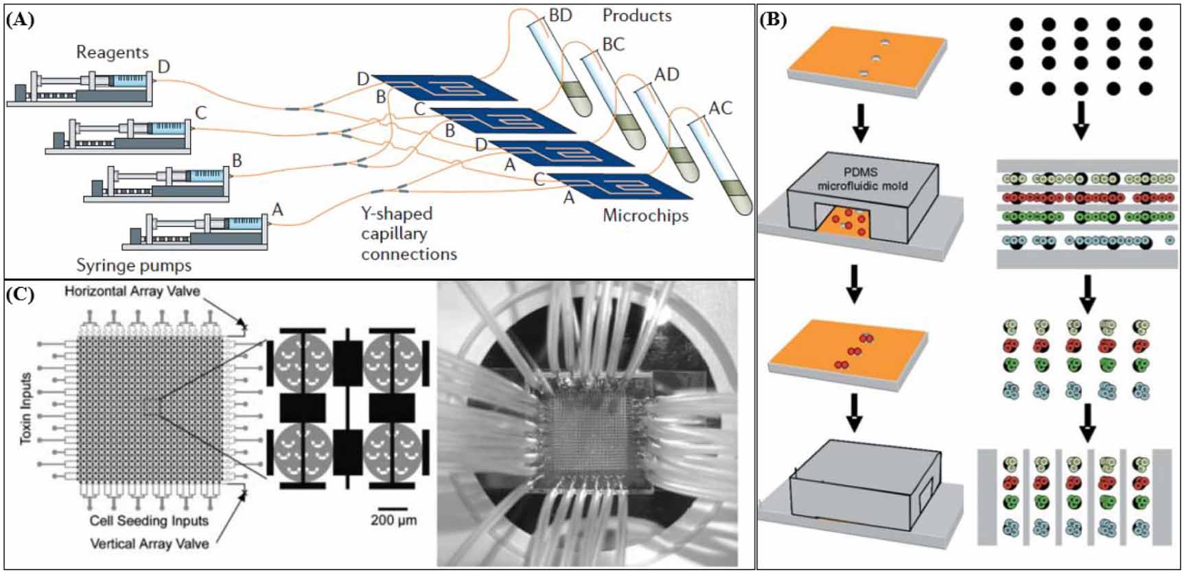 High throughput physiological micro-models for in vitro pre-clinical ...