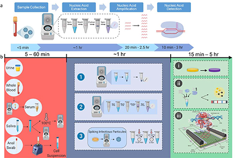 Critical review on where CRISPR meets molecular diagnostics - IOPscience