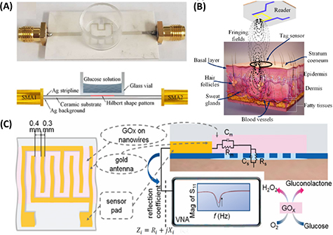 Optical sensors for continuous glucose monitoring - IOPscience