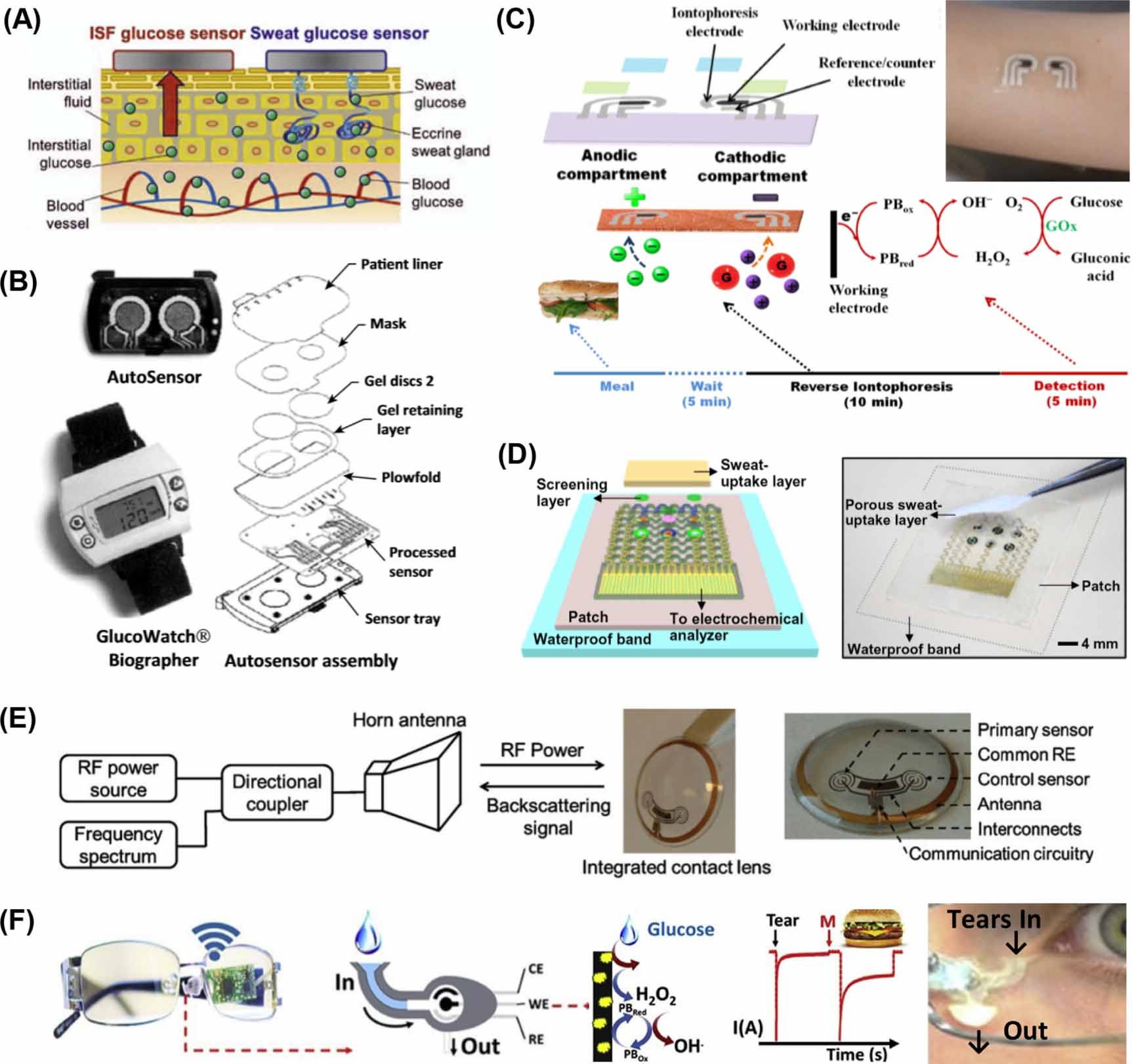 Optical sensors for continuous glucose monitoring - IOPscience