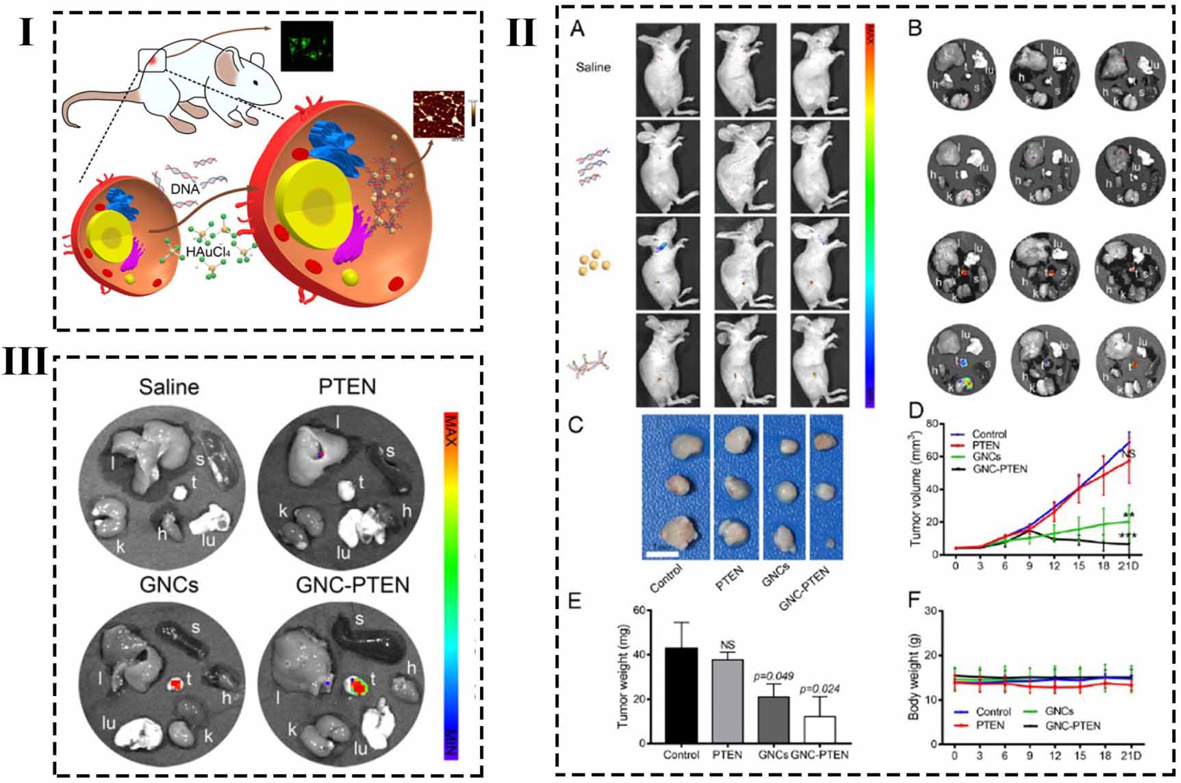 Hybrid nanomaterials-based biomedical phototheranostic