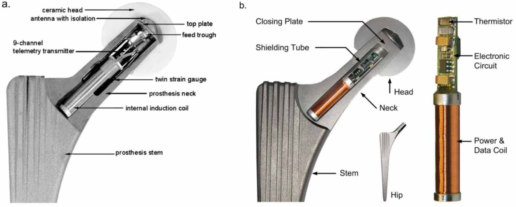 Is in vivo sensing in a total hip replacement a possibility? A review ...