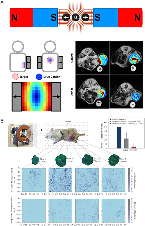 Magnetic nanomaterials-mediated cancer diagnosis and therapy - IOPscience