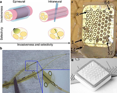 Advances in visual prostheses: engineering and biological challenges ...
