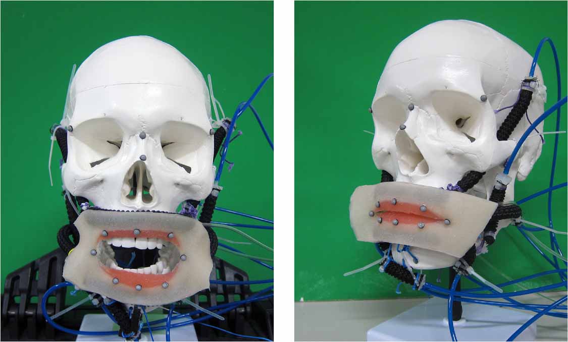 Soft robotics for physical simulators, artificial organs and