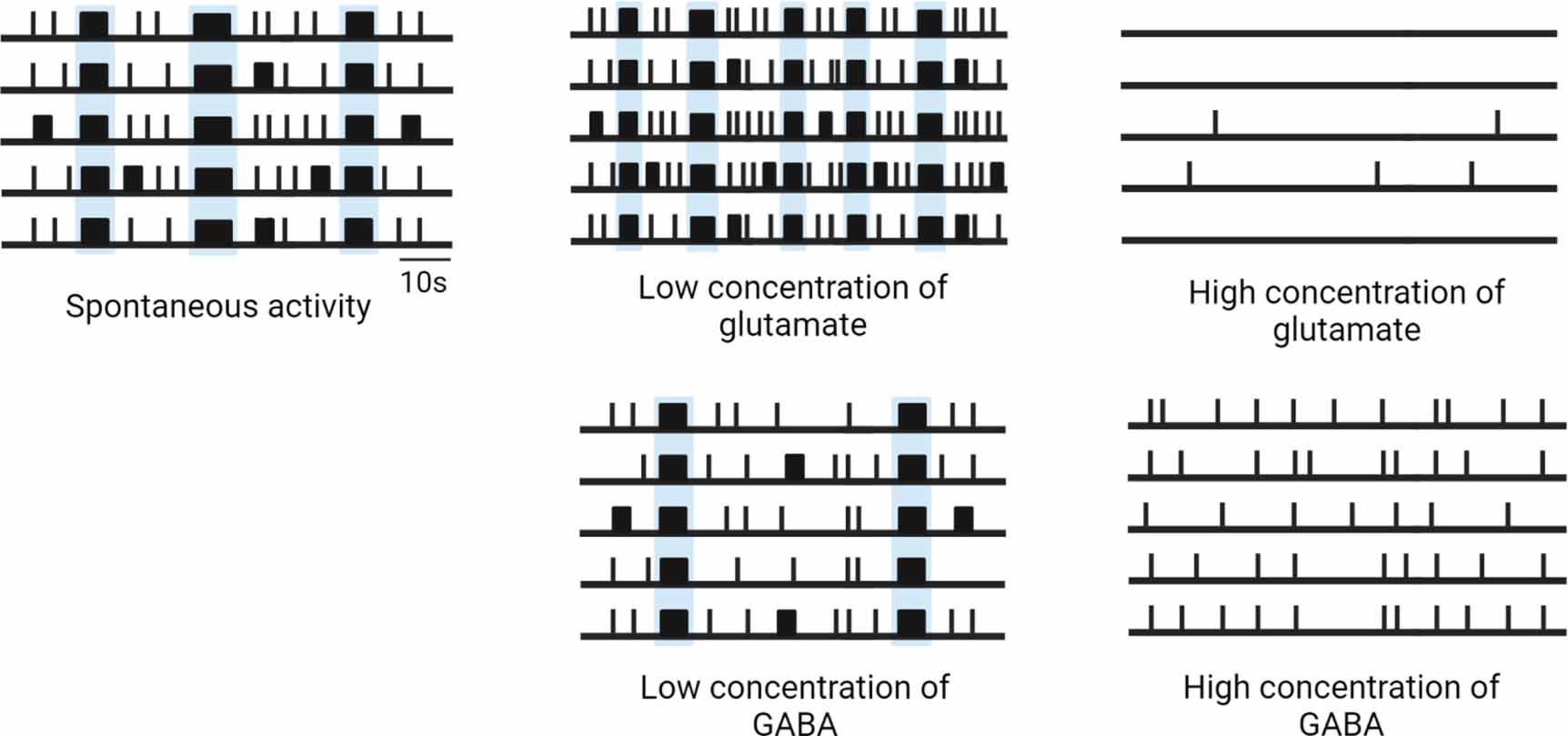 The potential of in vitro neuronal networks cultured on micro electrode ...
