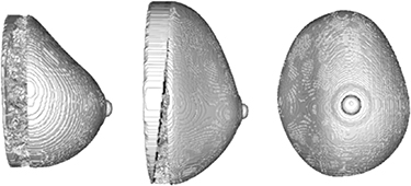 Figure 2. Refer to the following caption and surrounding text.