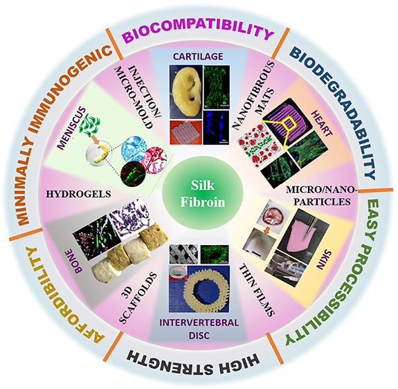 Trends and advances in silk based 3D printing/bioprinting towards ...