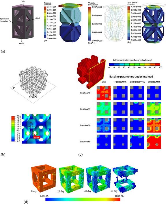 A review of computational optimization of bone scaffold architecture ...