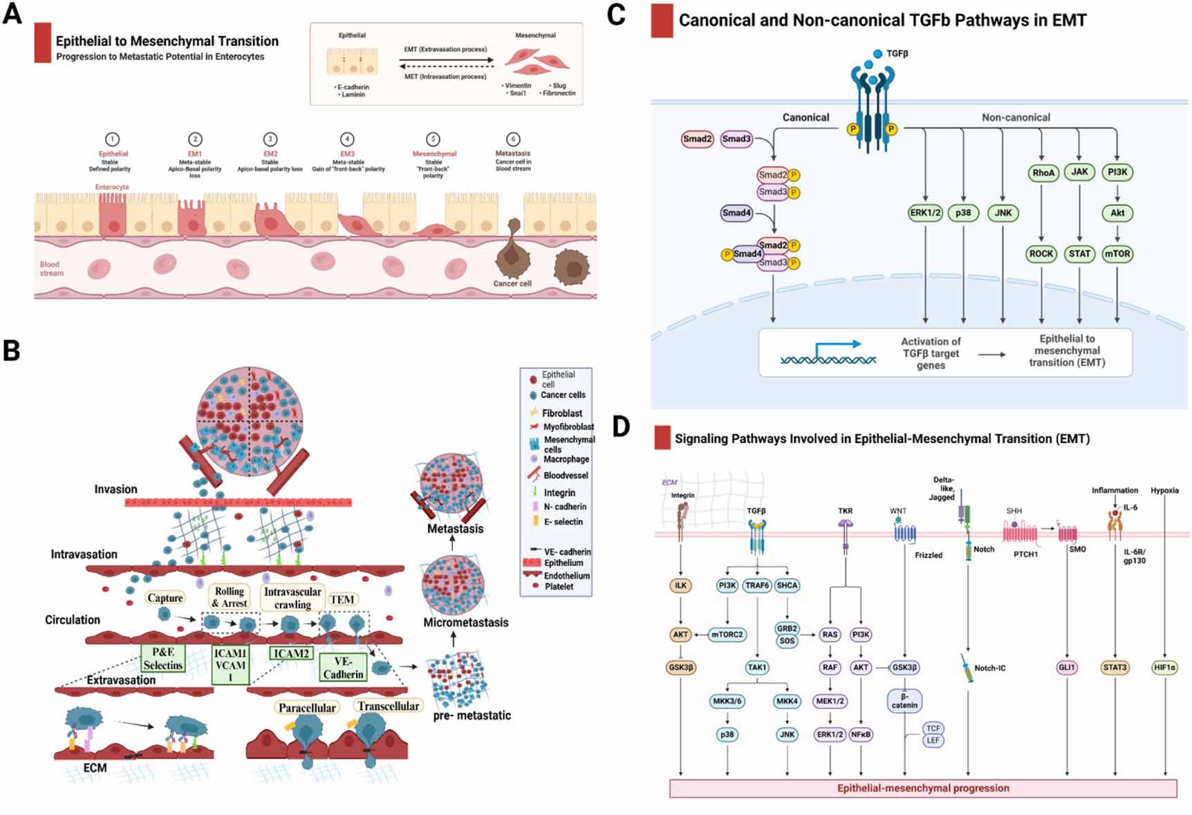 Development of bioengineered 3D patient derived breast cancer organoid ...