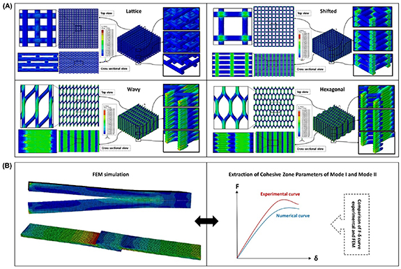 Challenges and perspectives in using finite element modeling to advance ...