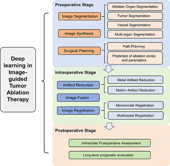 Advancements in deep learning for image-guided tumor ablation therapies ...