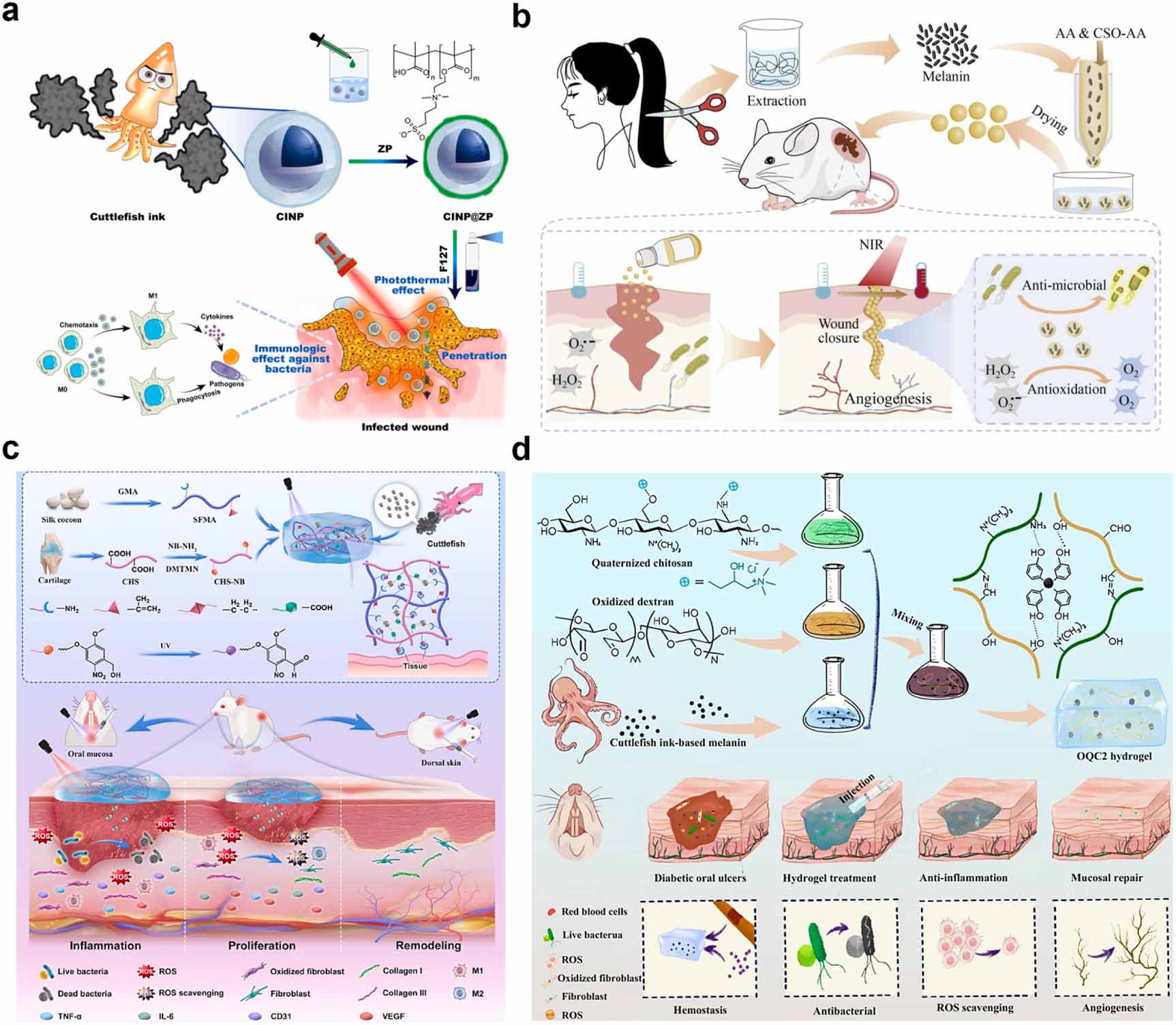 Natural melanin: a multifunctional biopigment for advanced