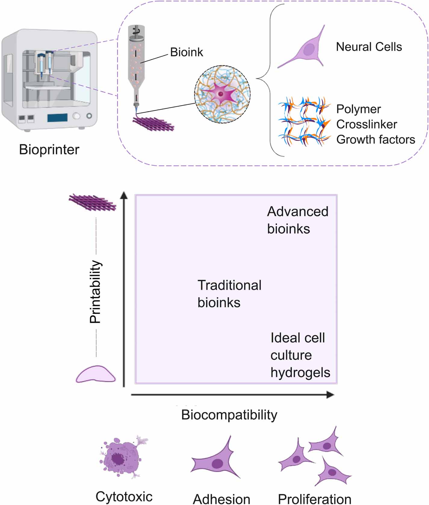 3D Bioprinting cell-laden bioinks for engineering neural tissues and ...