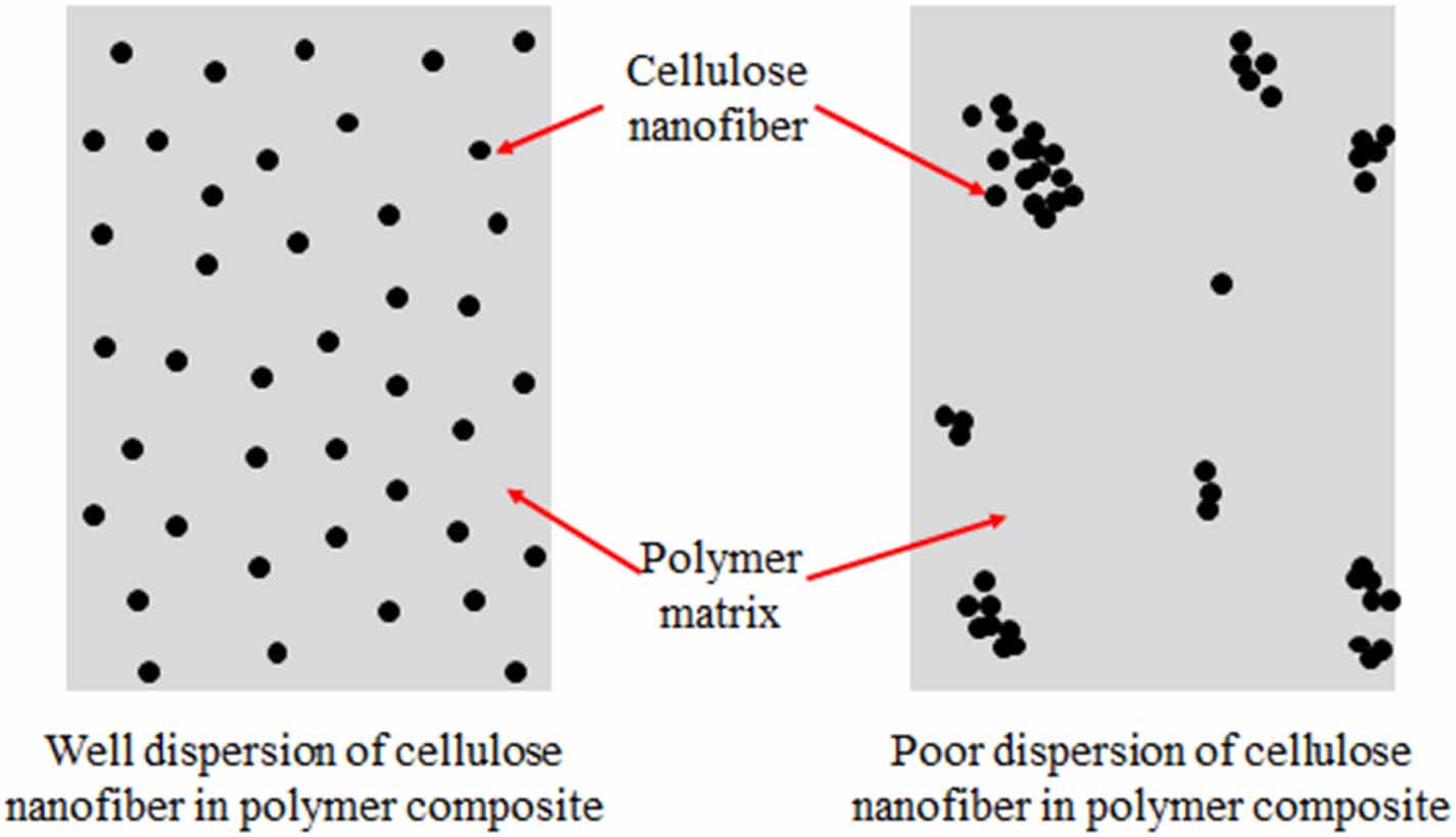 Performance evaluation of cellulose nanofiber reinforced polymer ...