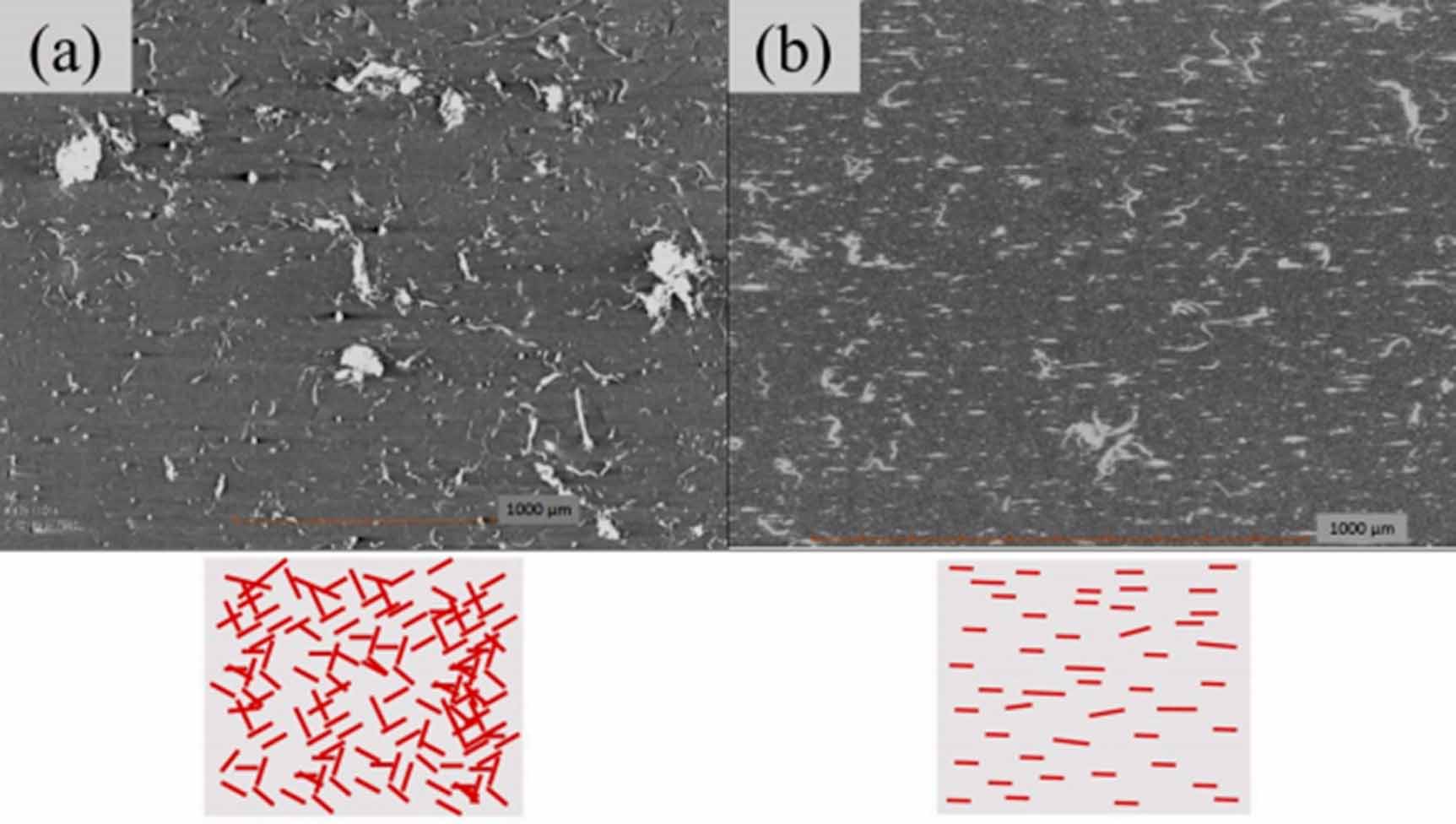 Performance evaluation of cellulose nanofiber reinforced polymer ...