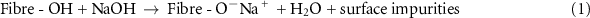 Equation (1)