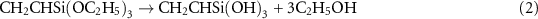 Equation (2)
