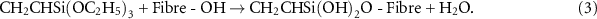 Equation (3)