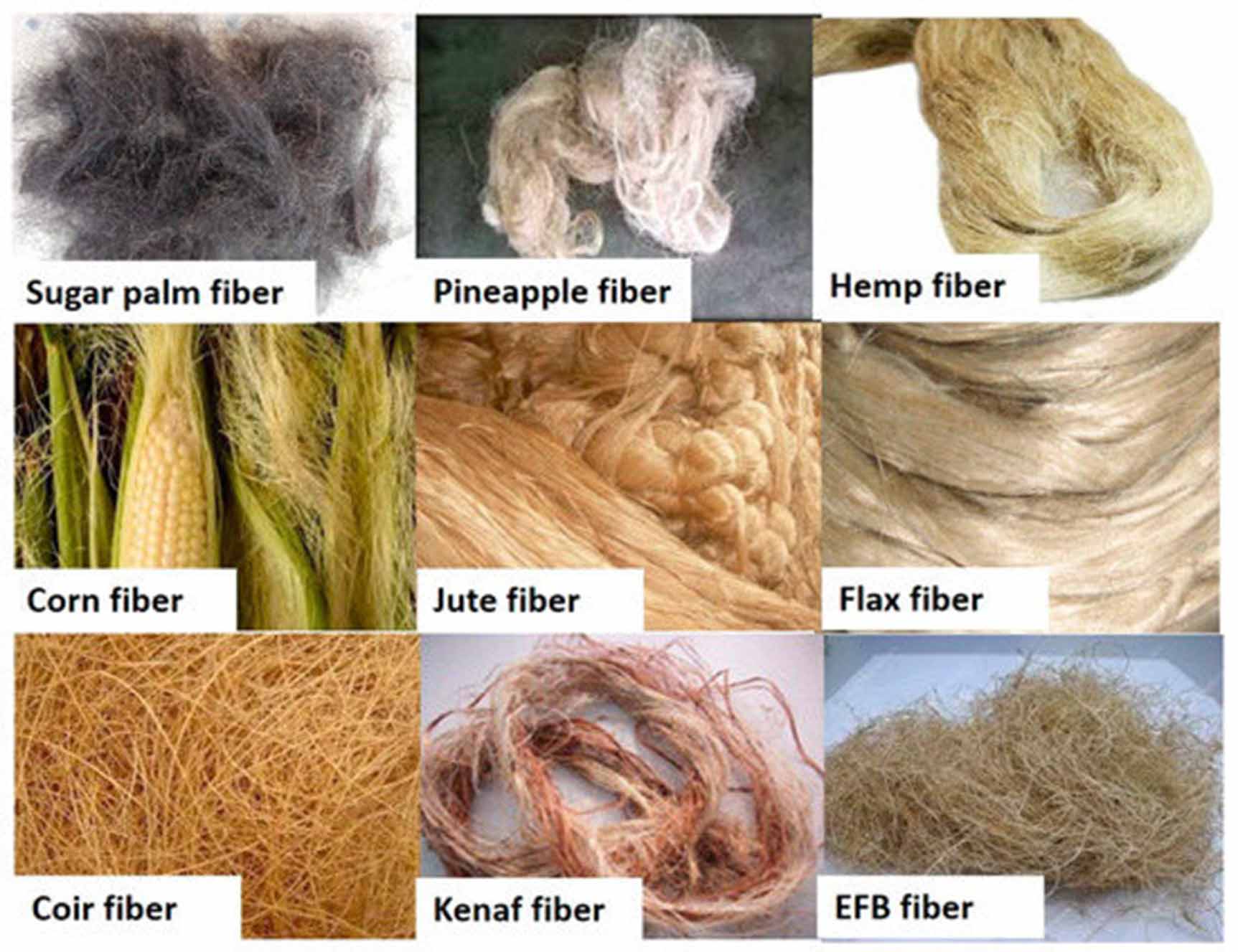 Low velocity impact performance of natural fibre reinforced polymer ...