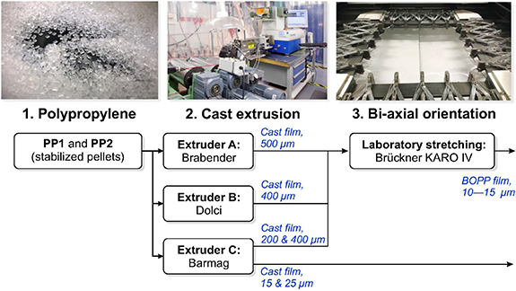 Advances and challenges in production and valorization of biaxially ...