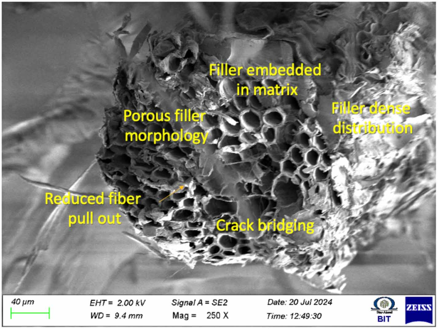 High-performance epoxy composites reinforced with carbon fiber and bran ...