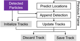 3D particle tracking velocimetry for the determination of temporally ...