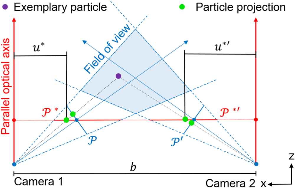3D particle tracking velocimetry for the determination of temporally ...