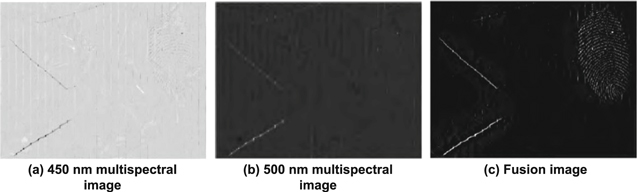 Figure 29.