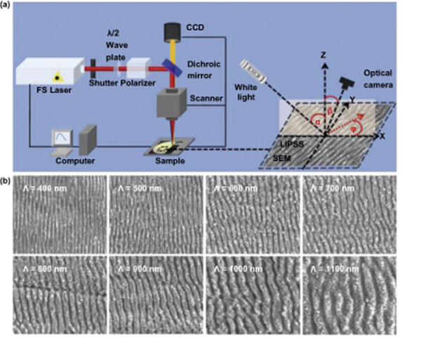Bioinspired micro/nanostructured surfaces prepared by femtosecond laser ...