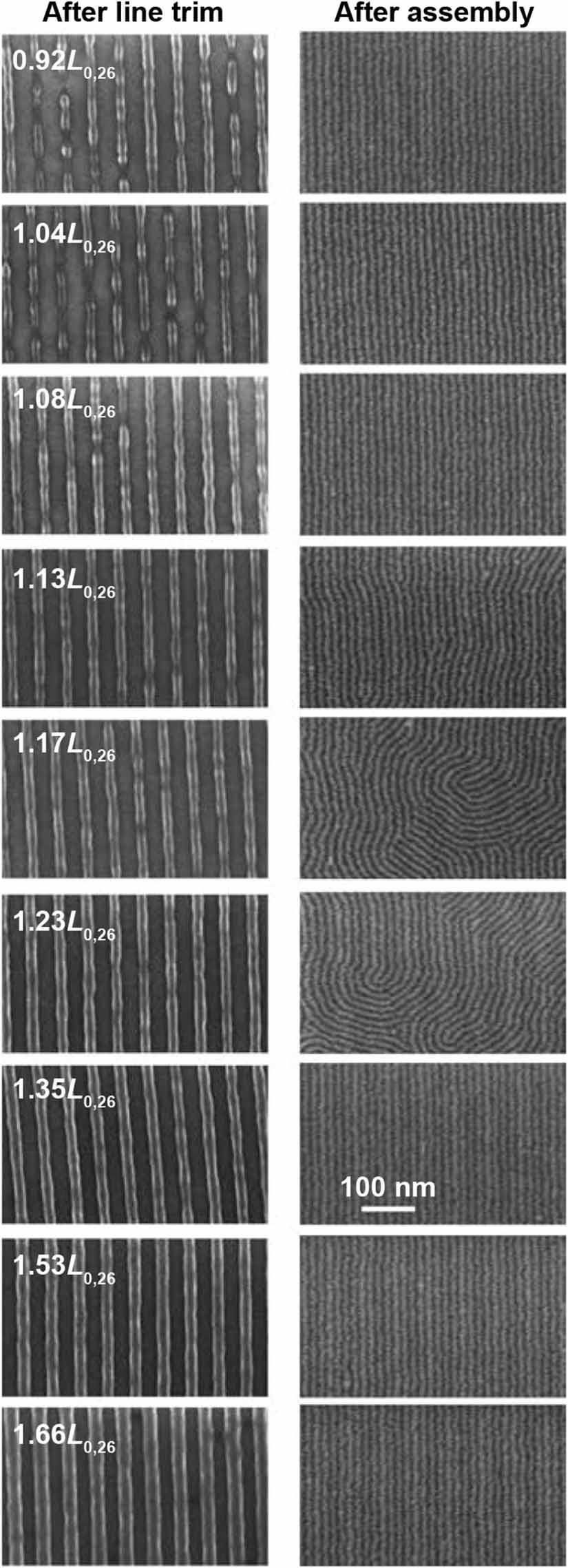 Directed self-assembly of block copolymers for sub-10 nm fabrication ...