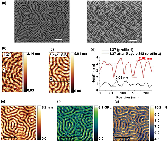 Directed self-assembly of block copolymers for sub-10 nm fabrication ...