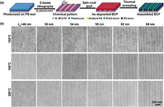 Directed self-assembly of block copolymers for sub-10 nm fabrication ...