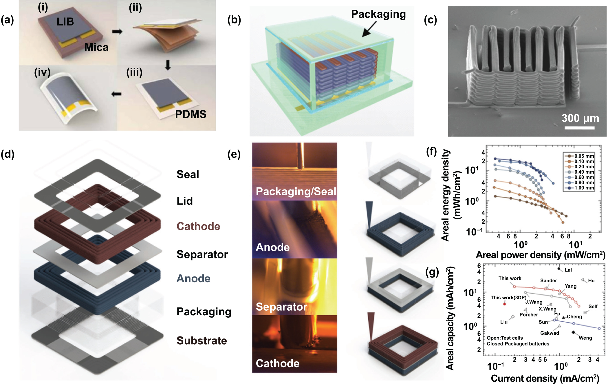 Emerging miniaturized energy storage devices for microsystem ...