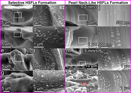 Femtosecond laser shockwave peening ablation in liquids for