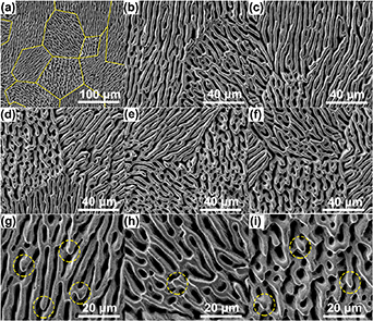 Irregular LIPSS produced on metals by single linearly