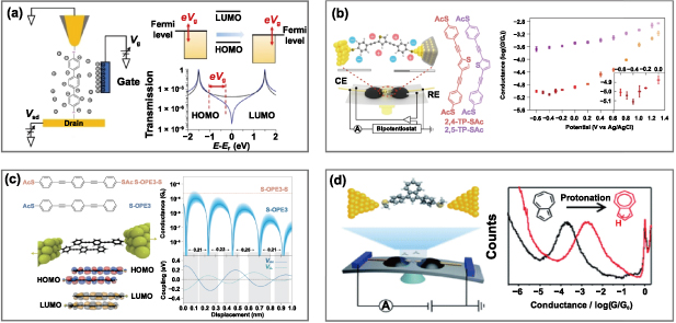 The fabrication, characterization and functionalization in molecular ...