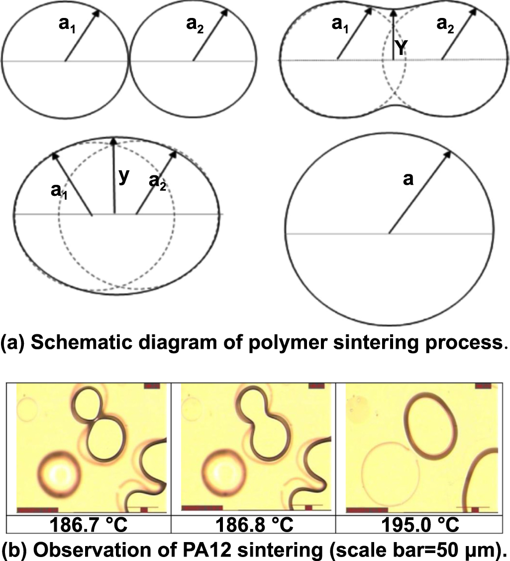 Sintering Window Polymers Advances in selective laser sintering of polymers - IOPscience