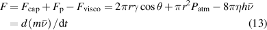 Equation (13)