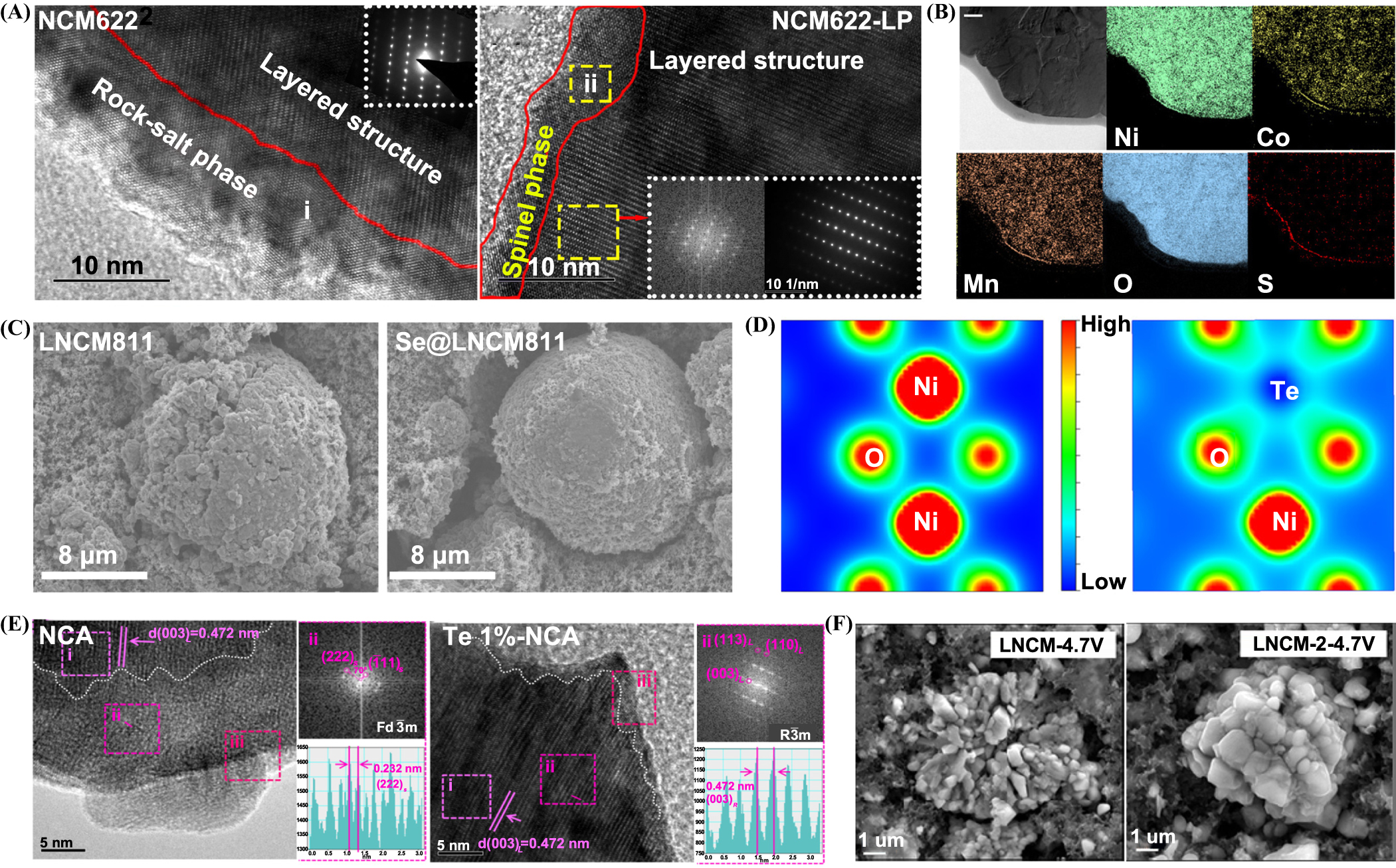 デラックスパス 12枚 Recent progress in synthesis and surface modification of nickel