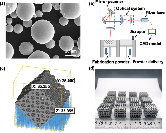 Compressive mechanical properties and shape memory effect of NiTi ...