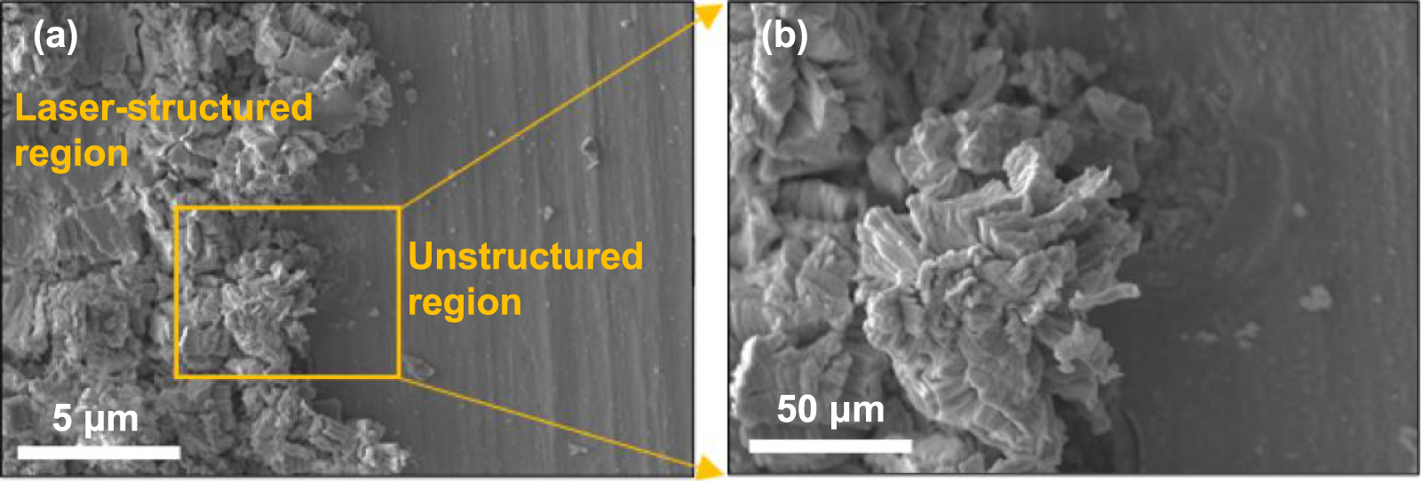 Laser-assisted growth of hierarchically architectured 2D MoS2 crystals ...