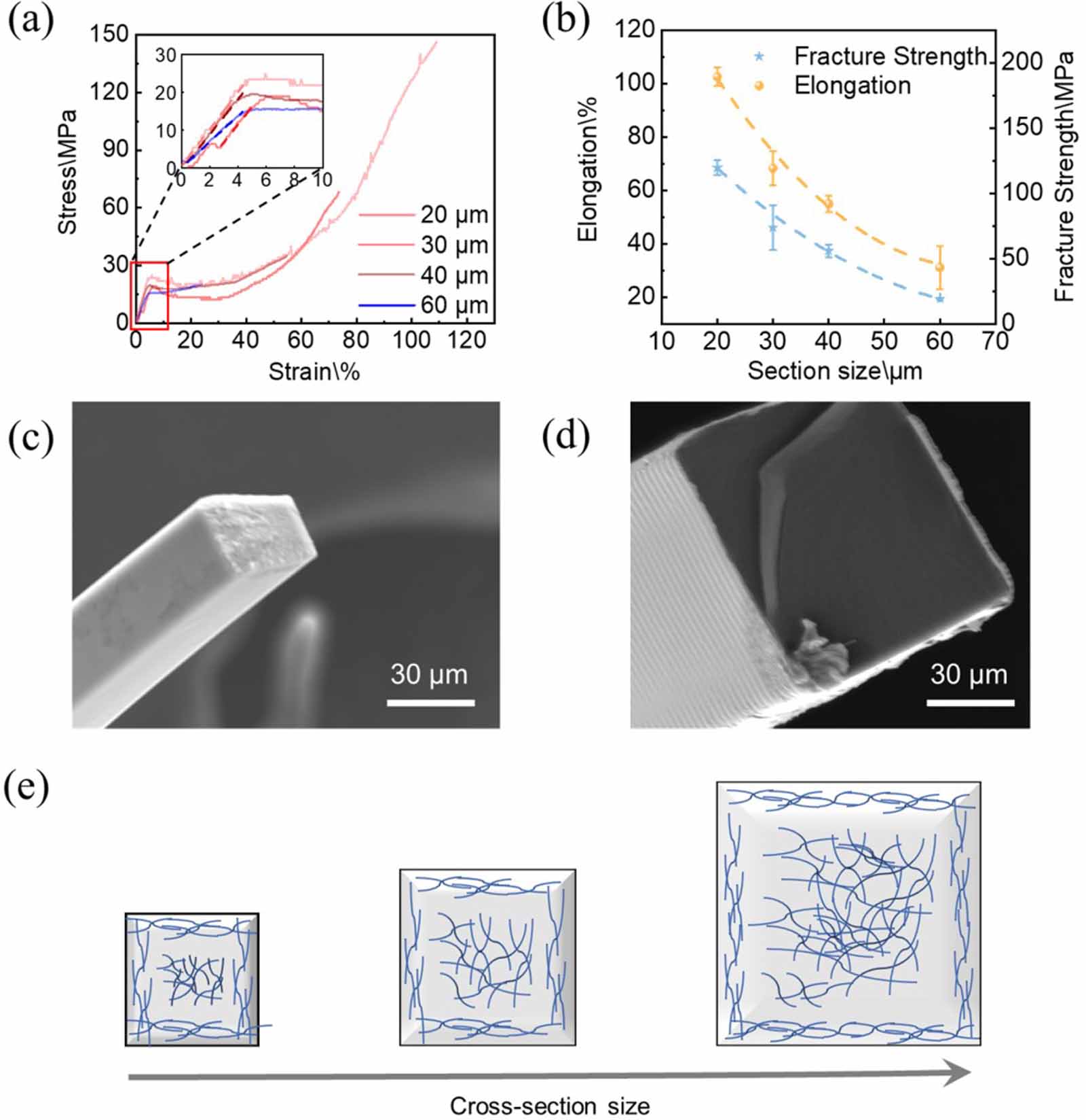 Tailoring mechanical properties of PμSL 3D-printed structures via size ...