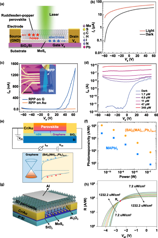 Multiphysics Heterostructure Two/Quasi-two-dimensional perovskite-based heterostructures ...