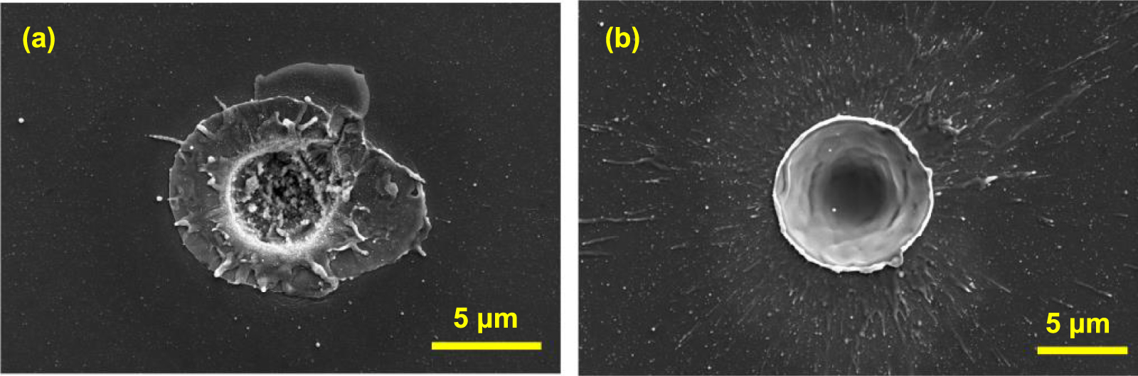 GHz bursts in MHz burst (BiBurst) enabling high-speed femtosecond laser ...