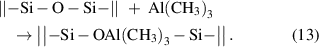 Equation (13)